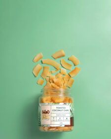 Toasted Coconut Chips1