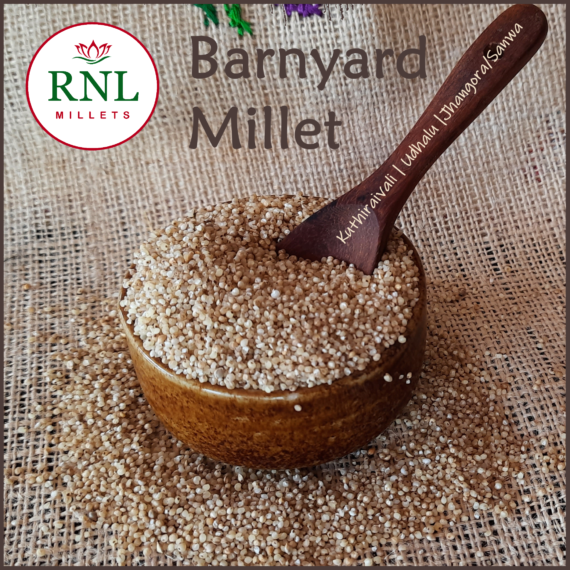 Barnyard Millets