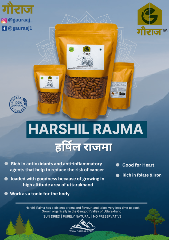 harshil rajma