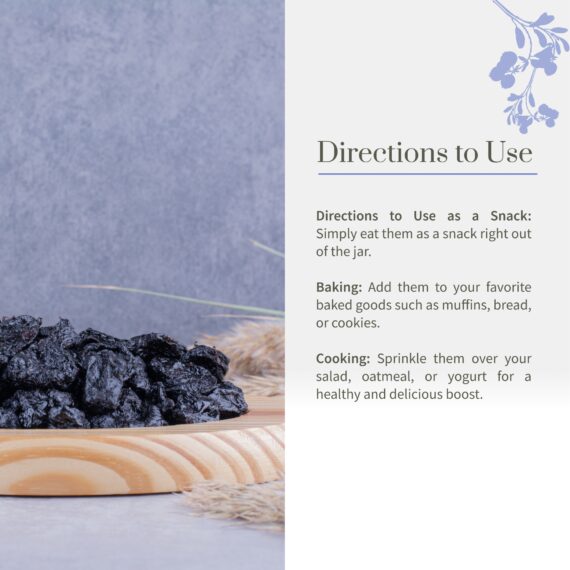 Dried Blueberries 5