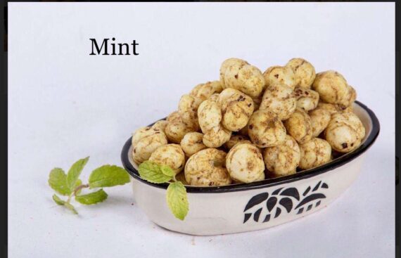 MAKHANA MINT 70GMS