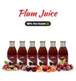 Plum 6 pack