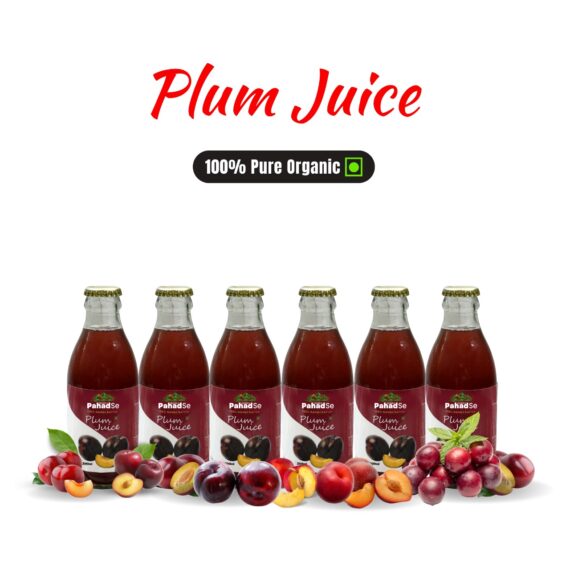 Plum 6 pack