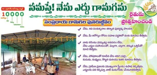 aarogya bandhvu naturals web banner