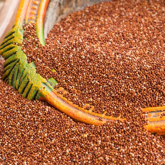 unpolished finger millet