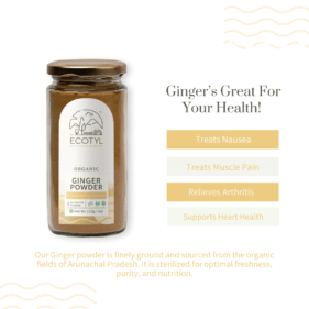 ginger powder 3