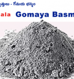 gomaya bhasma