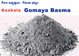 gomaya bhasma