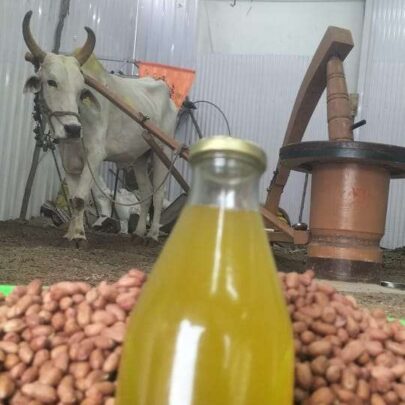 groundnut oil bull