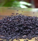 kalabhat black rice