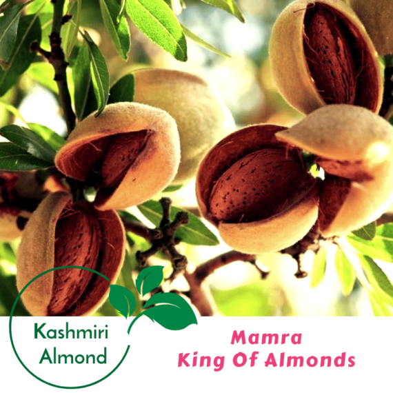 kashmiri almonds2