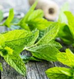 mint-on-a-wooden-table