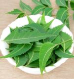 neem leaves