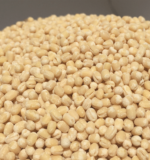 urad-dal.png