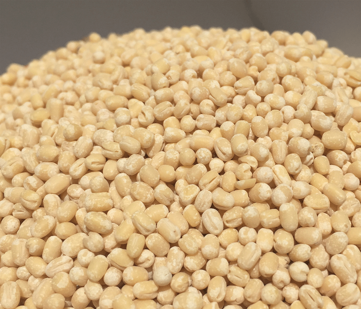 urad-dal-split-black-1kg-aarogyamastu