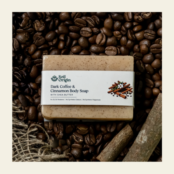 Soil Origin Dark Coffee and Cinnamon Body Soap With Shea Butter - 100 Gm (Pack Of 2)