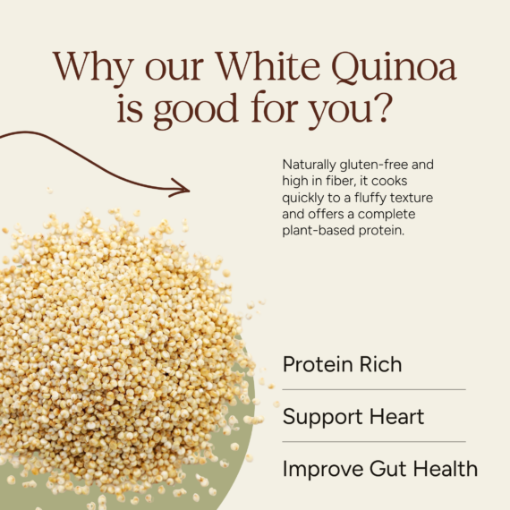 Soil Origin Quinoa Whole - 500 Gm