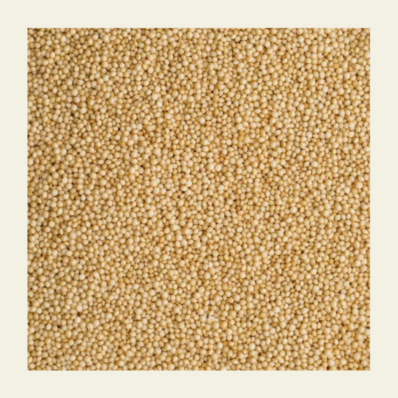 Soil Origin Rajgira Whole (Amaranth) - 500 Gm