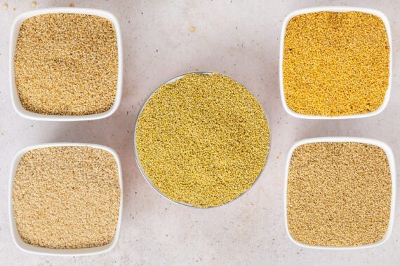 positive-millets-types-of-millet