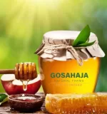 Wild Raw Honey from Araku Valley