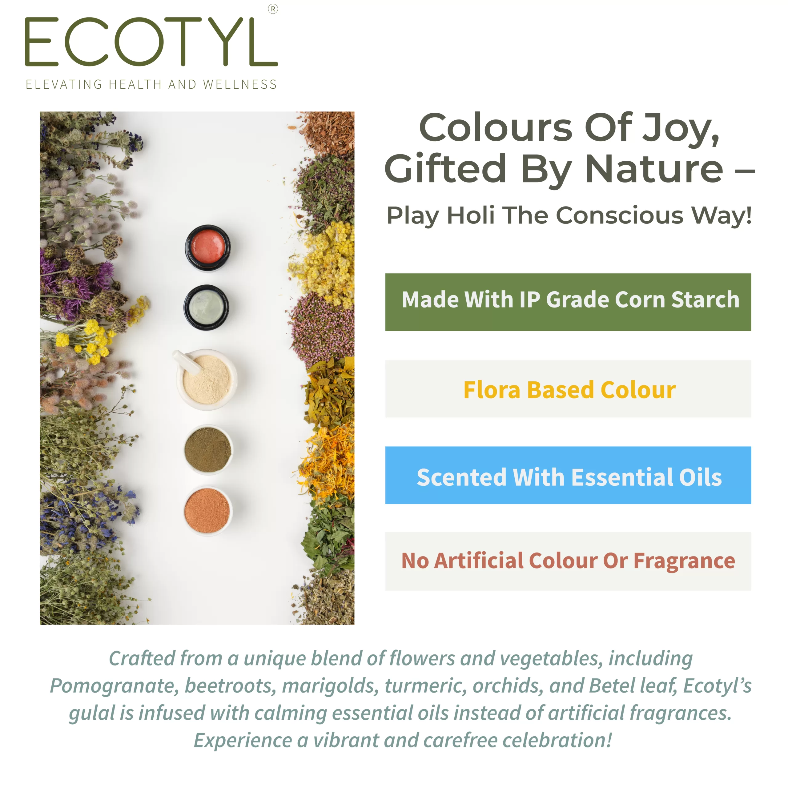 Ecotyl Herbal Gulal | Floral Color & Skin Friendly | Set of 4 Colors (100g Each) - Image 2