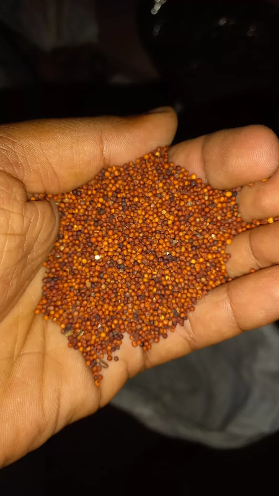 Finger Millet / Country Ragi (Mountain Ragi) 500g - Image 2