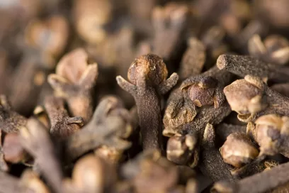cloves