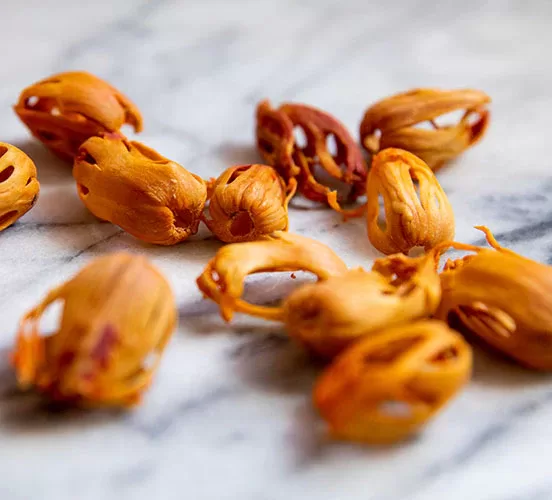 Japatri - 25gm (pack of 2)