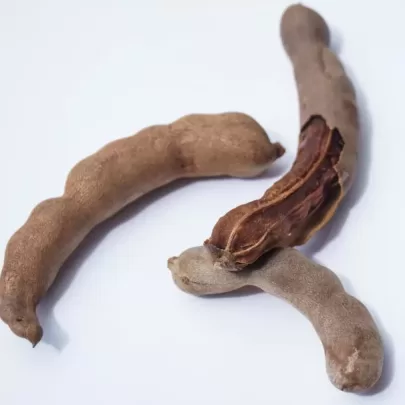 Tamarind/Chintapandu/Emli