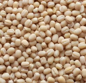urad-dal-round.webp