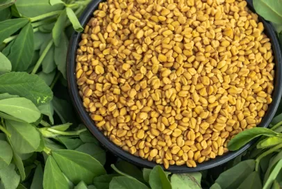 fenugreek seeds