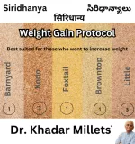 weight gain protocol