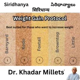 weight gain protocol